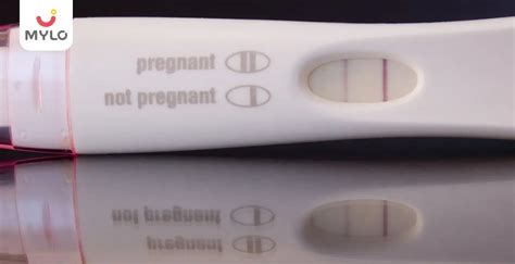 The Difference Between a Positive Pregnancy Test